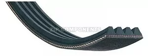 Ремень 1047J4 HUTCHINSON Electrolux 1508550041 оригинал